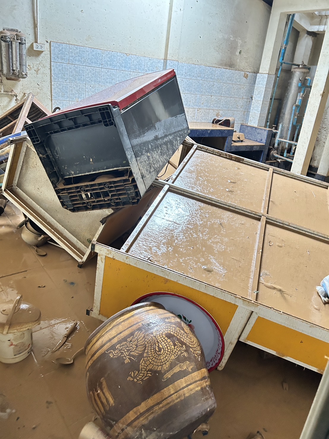 Damage Image