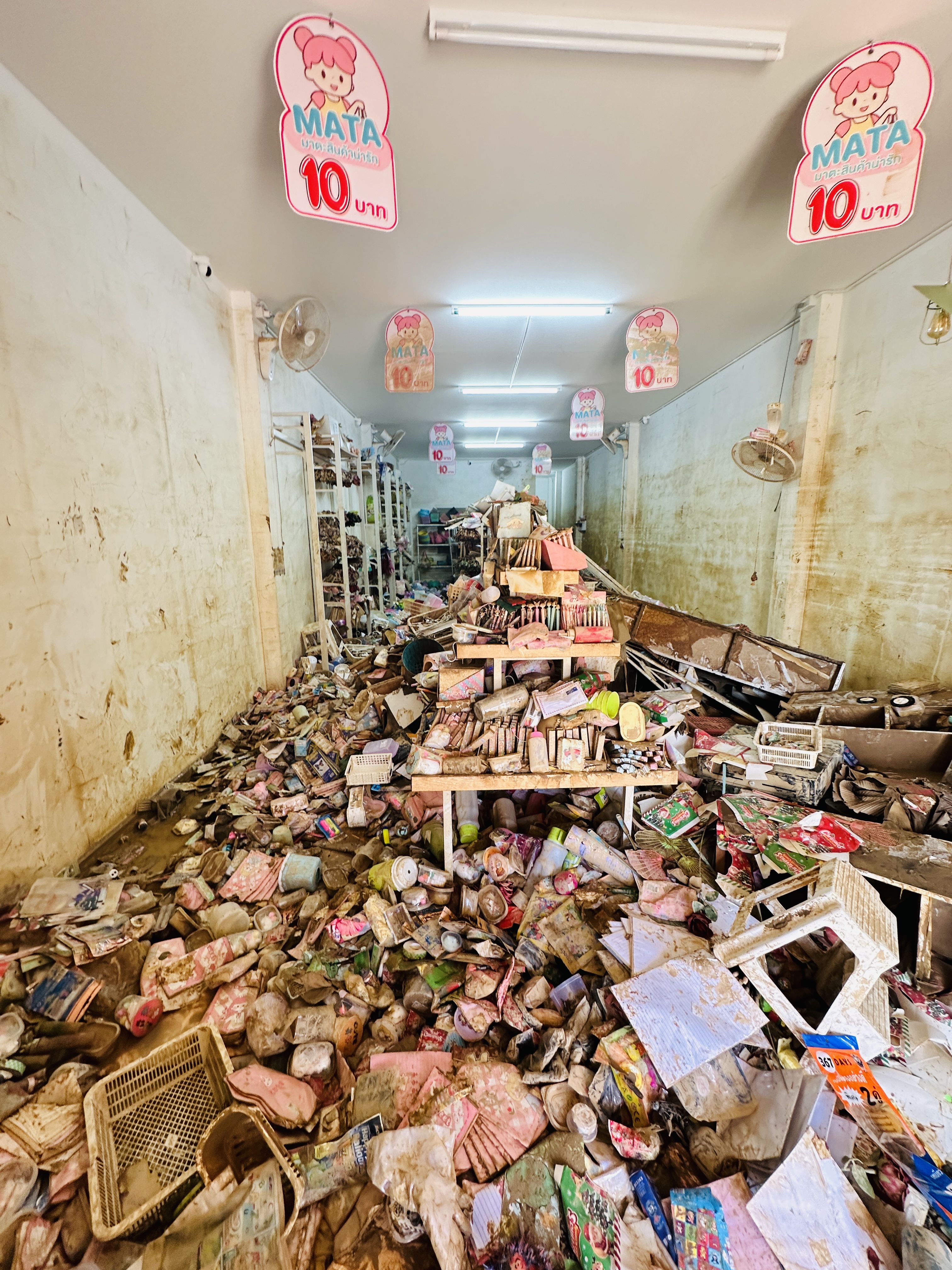 Damage Image