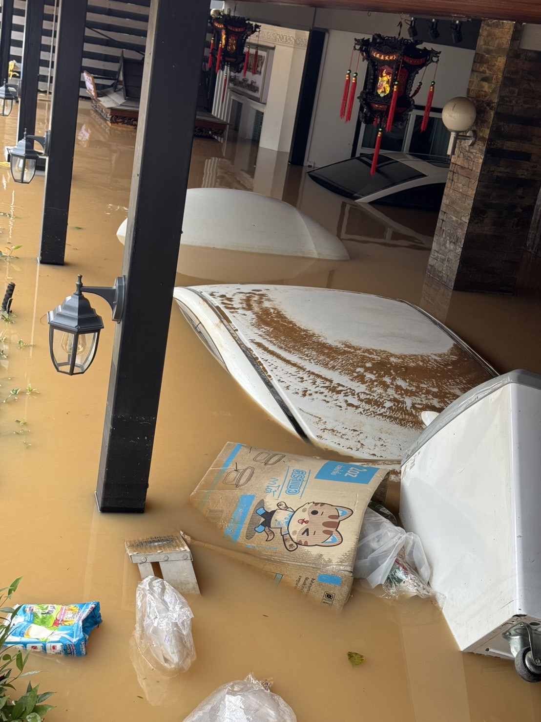 Damage Image